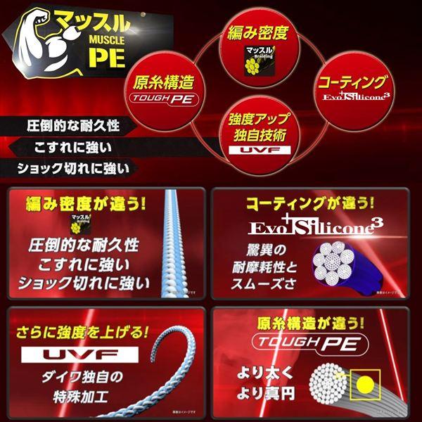 ダイワ PEライン UVF エメラルダスデュラセンサーX8EX+Si3 IM 0.6-200 | DAIWA（釣り） | 04