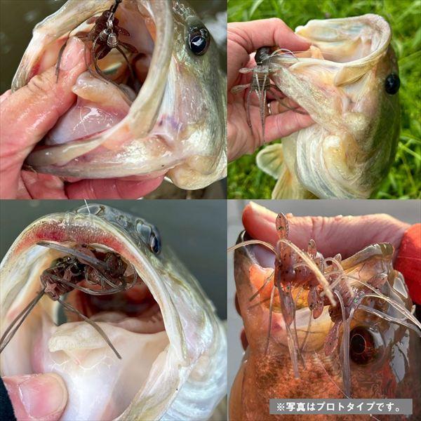 ダイワ ワーム スティーズ クアッドフォーゼ ピンク | DAIWA（釣り） | 06