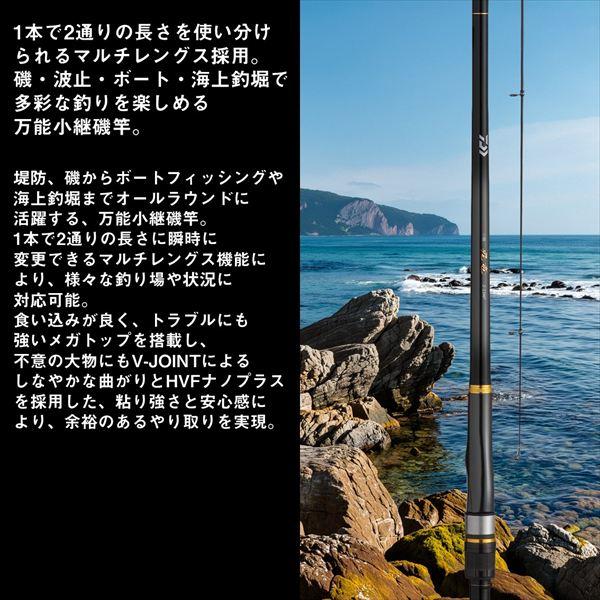 ダイワ 磯竿 小継飛竜 2-43MP・E(6ピース) | DAIWA（釣り） | 02