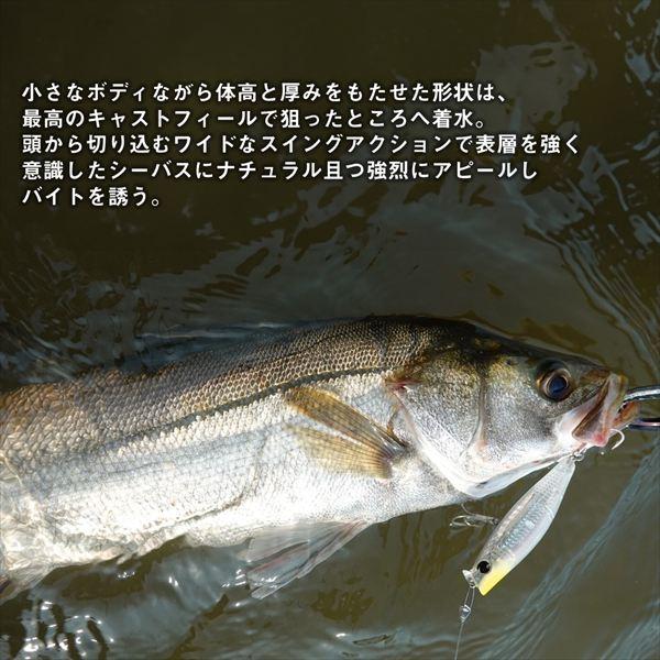 DAIWA（ダイワ） シーバスルアー モアザン ガルバ レーザーインパクト