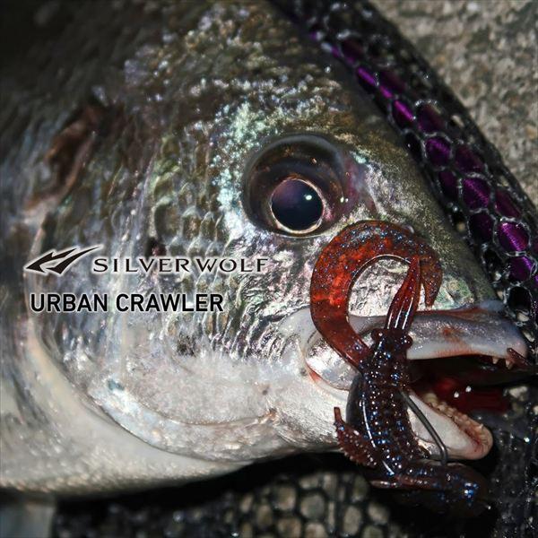 ダイワ ワーム シルバーウルフ アーバンクローラー2.5 グリパングローゴールド | DAIWA（釣り） | 01