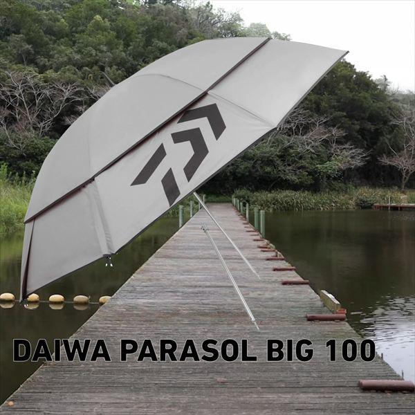 ダイワ ヘラパラソル DAIWAパラソル BIG100 SILVER | DAIWA（釣り） | 01