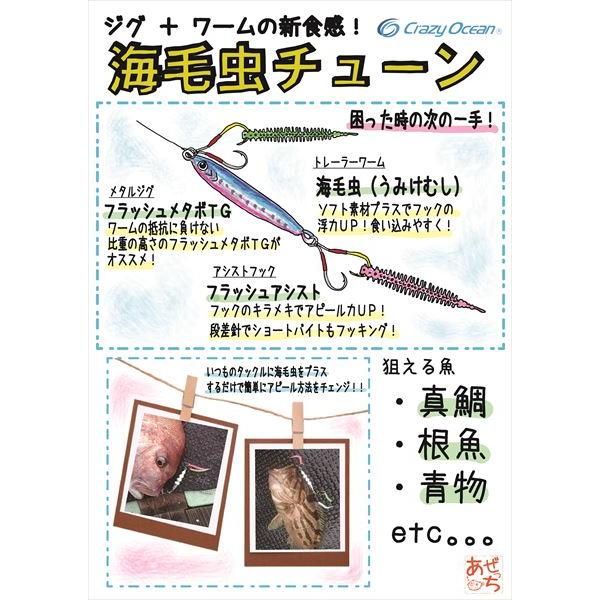 クレイジーオーシャン ワーム 海毛虫 ハイフロート #101 青バチ |  | 03