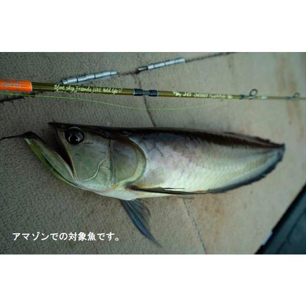 ジェットスロウ ルアーロッド ジェットセッター 510C-AM(ア・}ゾン) |  | 03