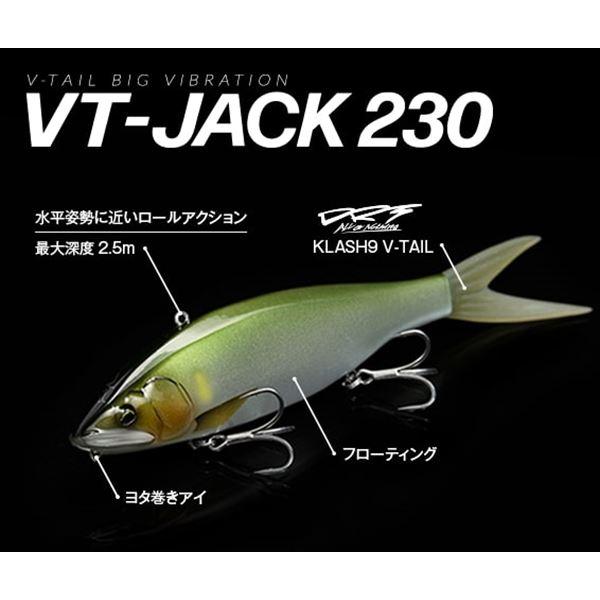 Fish Arrow（フィッシュアロー） バスルアー VTジャック230 ロー