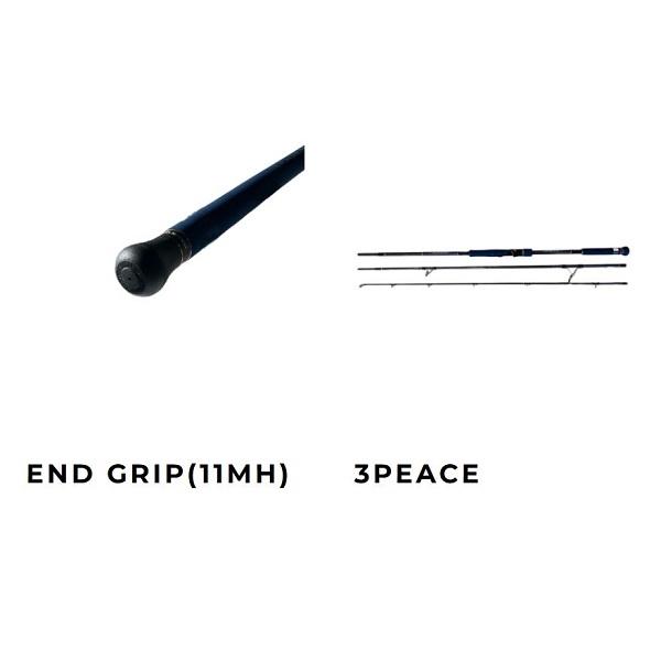 ゼスタ（XESTA） ショアジグロッド ランウェイ 96MH ザ