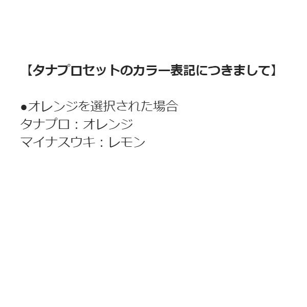 【ネコポス対象品】山元工房 ウキ タナプロセット19Y 2B R オレンジ |  | 03