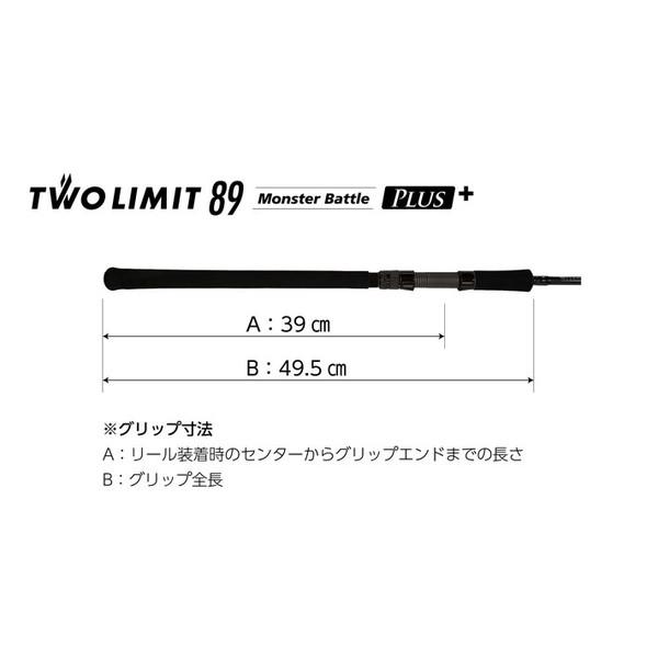 JUMPRIZE（ジャンプライズ） シーバスロッド ツーリミット 89