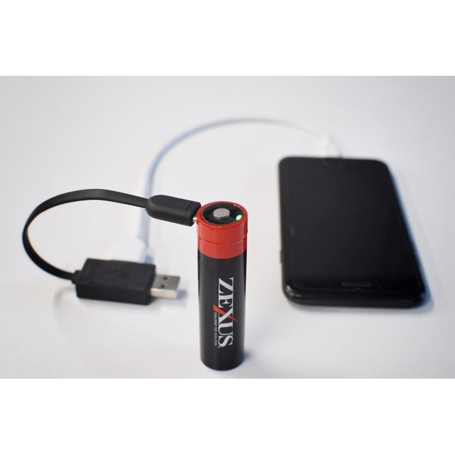 冨士灯器 ZEXUS(ゼクサス)専用リチウムイオン電池(3400mAh) ZR-02 電池 | 冨士灯器 | 02