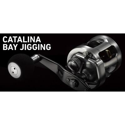 DAIWA - ダイワ 15 キャタリナbj100H-L DAIWA（釣り） ダイワ(Daiwa) リール 15キャタリナ BJ100H-L (左