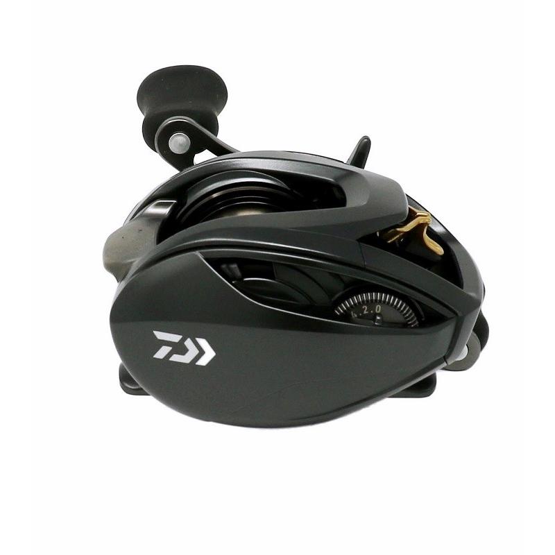 DAIWA（釣り） ダイワ(Daiwa) STEEZ(スティーズ) SV TW 1016SV