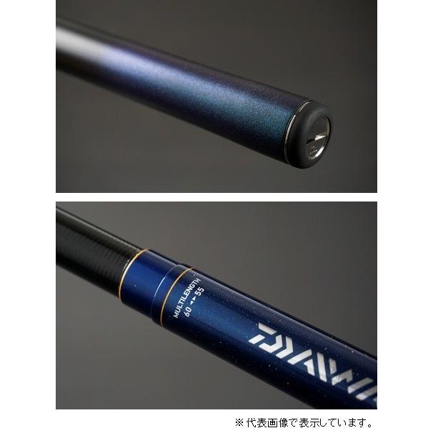 DAIWA（釣り） ダイワ 翡翠 冴 硬調 70M 渓流竿 : 釣具の