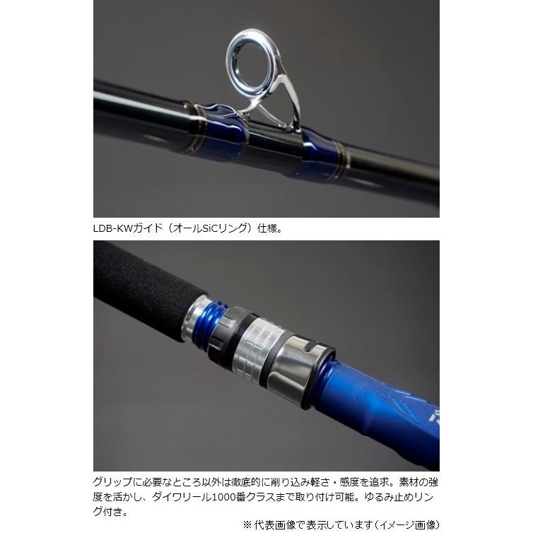 DAIWA（ダイワ） アナリスター73 30-180 船竿 : 釣具のキャスティング