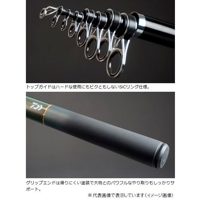 DAIWA（ダイワ） シーパラダイス S-350 E 磯竿 : 釣具のキャスティング