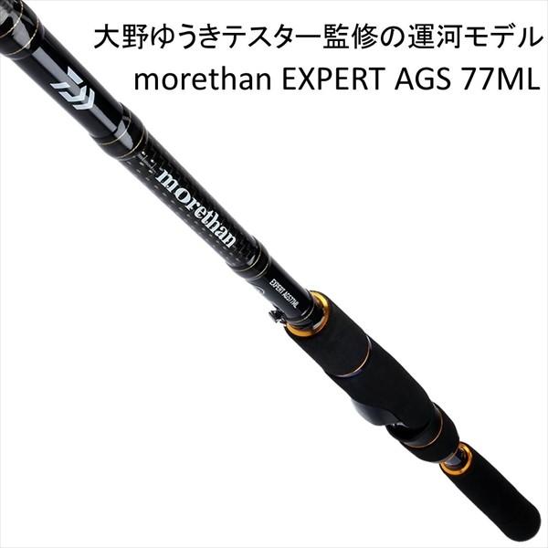 ダイワ モアザン エキスパート ags 110M シーバス ショアジギング 先代 