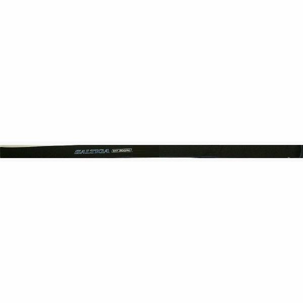 DAIWA（釣り） ダイワ ソルティガ BJ 63XHB-S V (ベイトタイプ