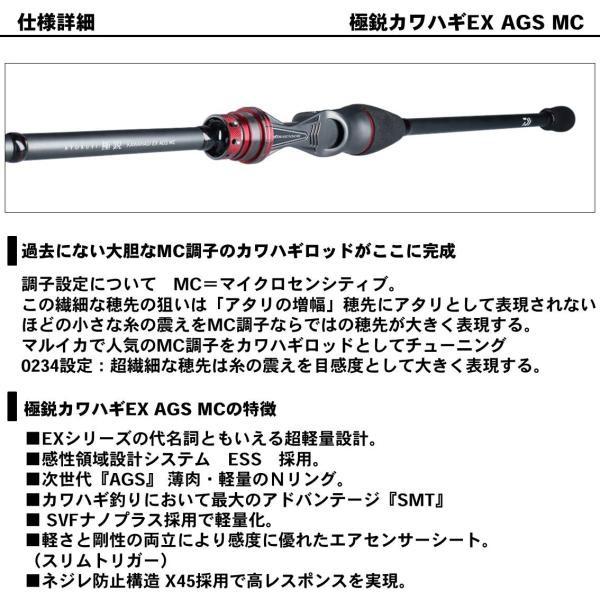 DAIWA（ダイワ） 【訳あり】ダイワ 極鋭カワハギEX AGS MC (1ピース