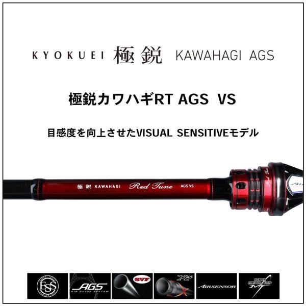 DAIWA（ダイワ） 極鋭カワハギRT AGS VS (1ピース) カワハギ竿【大型