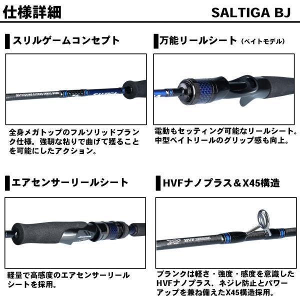 DAIWA（ダイワ） ソルティガ BJ 61XXHS TG・V 2019モデル (スピニング1