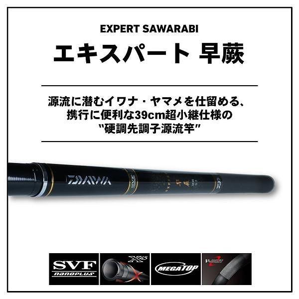 DAIWA（ダイワ） EXPERT(エキスパート) 早蕨 硬調 60・V 渓流竿 : 釣具