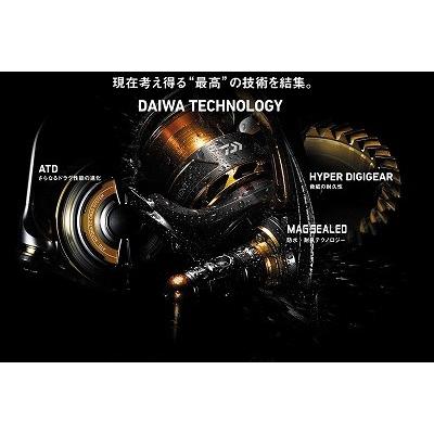 DAIWA（ダイワ） リール 15トーナメントISO 競技LBD スピニングリール