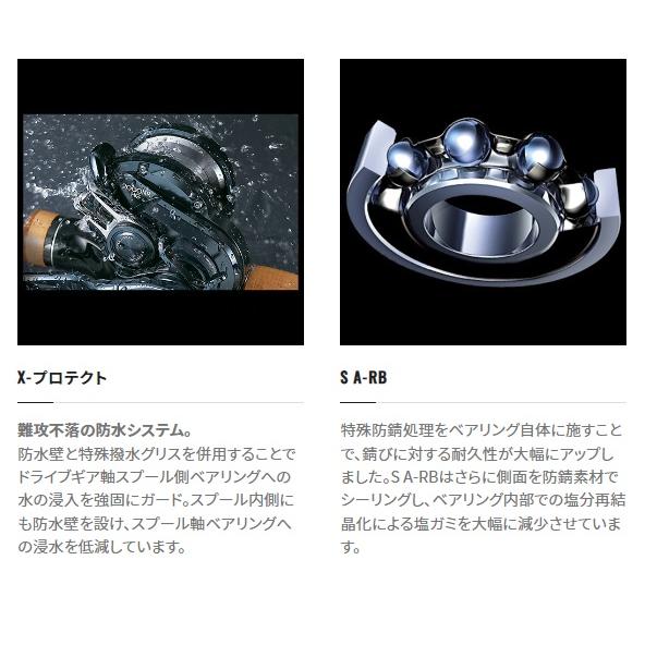 シマノ（SHIMANO） ベイトリール 22エンゲツBB 101PG(左) : 釣具の