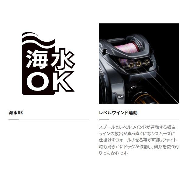 シマノ（SHIMANO） ベイトリール 22エンゲツBB 101PG(左) : 釣具の