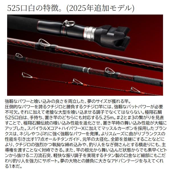 シマノ（SHIMANO） 石鯛竿 24極翔 石鯛 525 口白【大型商品】 : 釣具の