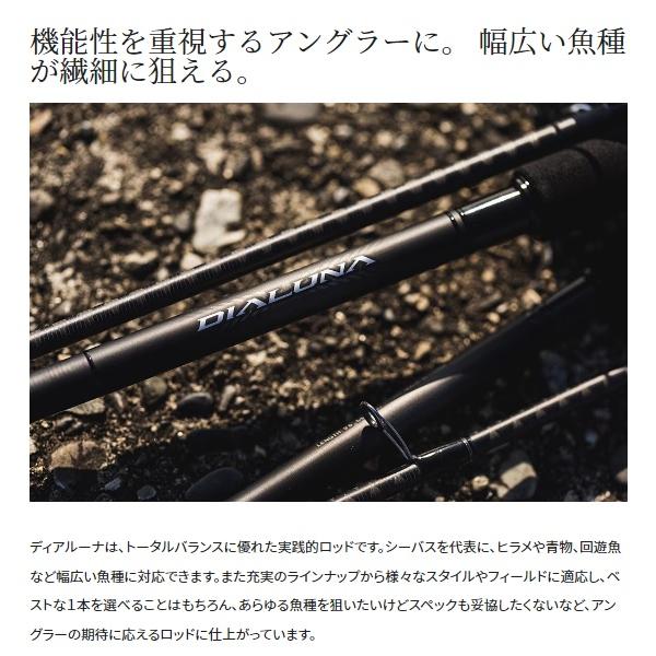 シマノ シーバスロッド 23ディアルーナ S110M(スピニング 2ピース)【大型商品】の画像