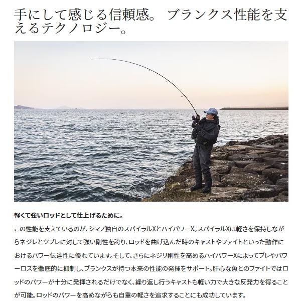 シマノ シーバスロッド 23ディアルーナ S110M(スピニング 2ピース)【大型商品】の画像