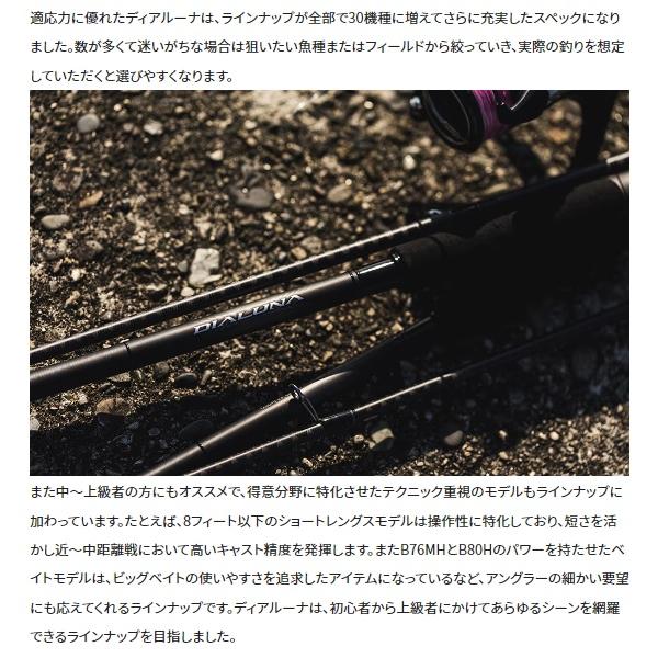 シマノ シーバスロッド 23ディアルーナ S110M(スピニング 2ピース)【大型商品】の画像