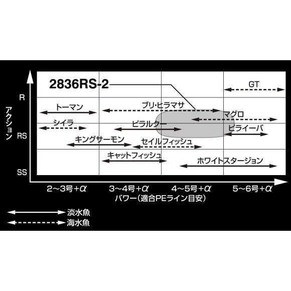 シマノ（SHIMANO） 20 ワールドシャウラ BG 2836RS-2 【2020年モデル