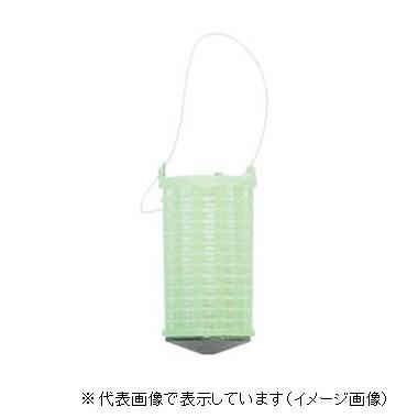 人気の製品 日本最大級 プロマリン AGT027 夜光プラカゴ バラ S leilasingh.com leilasingh.com