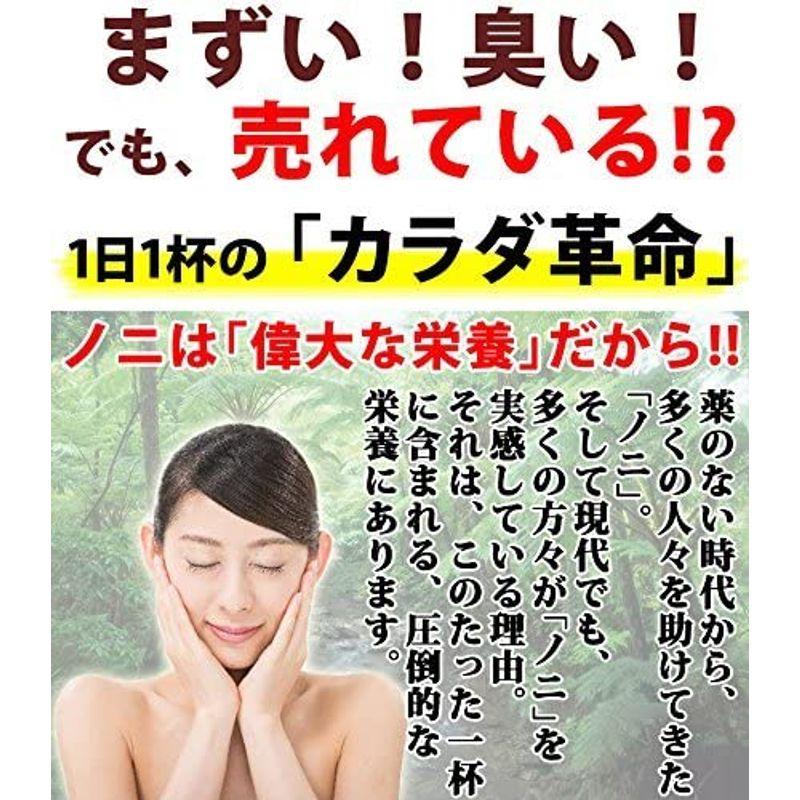 沖縄県産ノニ 果汁100%(500ml)×12本セット おきなわ晴家 沖縄県産ノニ 果汁100% パウチ 500ml×6個 (国産 ノニジュース 沖縄産 noni 原液) 送料無料