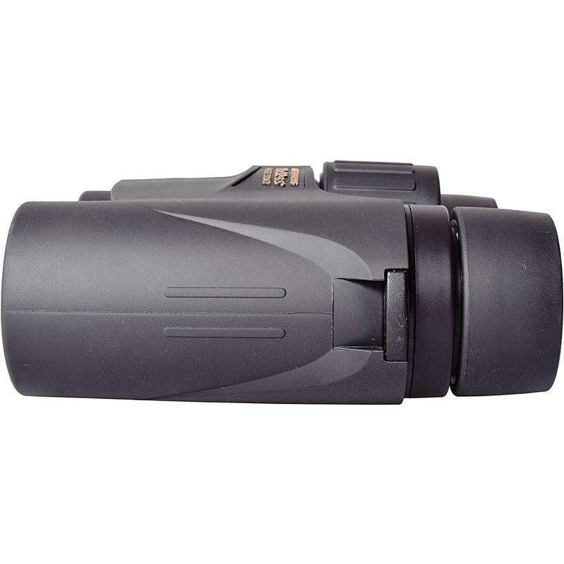 SIGHTRON 双眼鏡 ダハプリズム 8倍32?口径 防水 SIII MS 8X32 SIB25-1527 ブラック 双眼鏡 ダハプリズム 8倍32 口径 防水 SIII MS 8X32 SIB25 ブラック