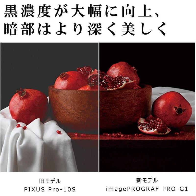 【値段交渉可：送料込】 キヤノン Canon インクジェットプリンター imagePROGRAF PRO-G1 Wi-Fi 有線LAN搭載 A3ノビ対応 顔料10色 【QG1377104218】(48248円)