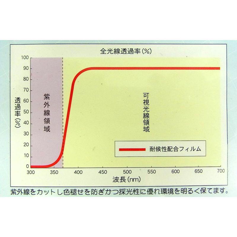 菱興プラスチック 糸入り透明シート (ハトメ穴有り・ひも付) 約2.7m×3.6m 糸入り透明シート ハトメ穴有り ひも付 約2 7m×3 6m