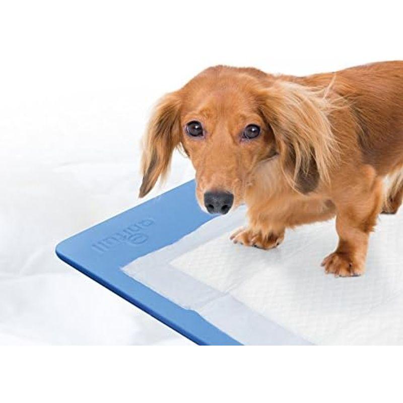 アニフル (anifull) ズレ防止ペットシーツマット ブルーM anifull ズレ防止ペットシーツマット ブルーM