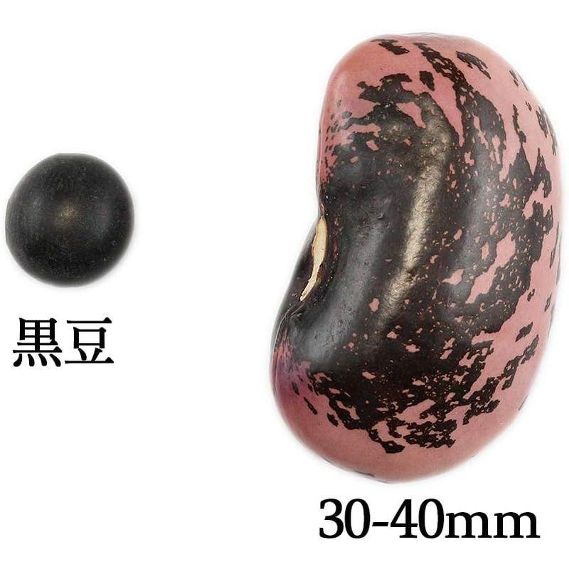 紫花豆特大 (業務用5Kg) 国産 高原花豆 乾物豆類 おせち料理などの煮豆、甘煮、甘納豆などお正月お豆に 国産 高原花豆 おせち料理などの煮豆 甘煮 業務用5Kg 乾物豆類 甘納豆などお正月お豆に