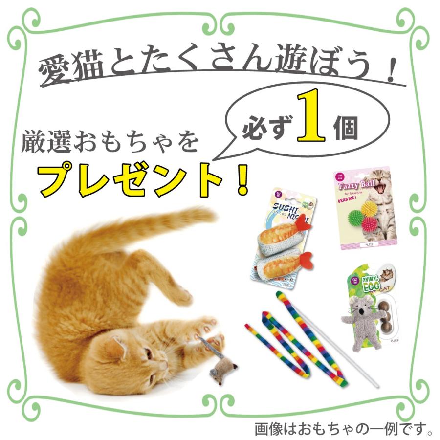 ロイヤル カナン 猫 満腹 感 サポート