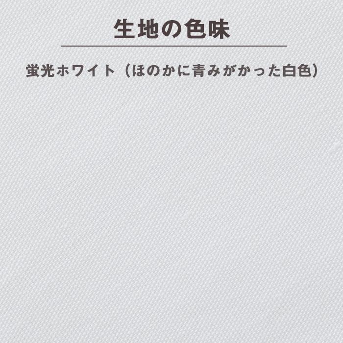 綿100% 半袖 スクールシャツ 女子 ノンアイロン やや薄手 肌にやさしい 敏感肌 ワイシャツ カッターシャツ ブラウス 制服 レディース 女の子 女児 学校 送料無料｜catchshop｜09