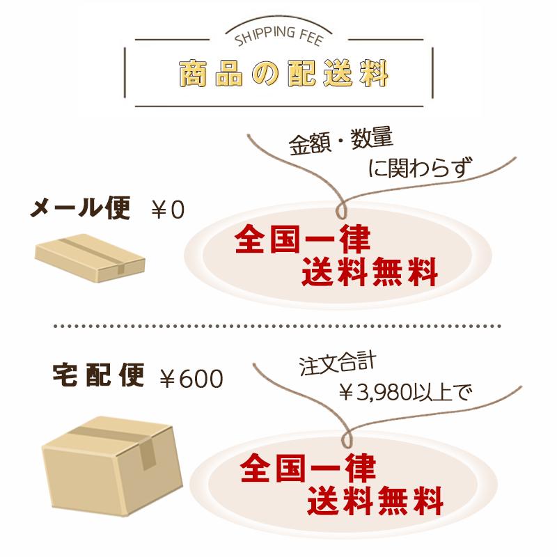 ポロシャツ 女子 長袖 形態安定 女の子 女児 キッズ ノンアイロン 速乾 学校 小学生 中学生 高校生 制服 学生服 女の子 子供 スクール 通学 送料無料 | Catch | 17