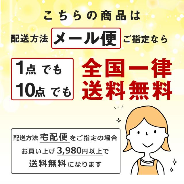 在庫限り 体操服 半袖 ハーフジップ 襟付き 男女兼用 チャック付 えり付き 小学校 スクール 半そで 防汚 抗菌防臭 UVカット 体操着 子供 小学生 送料無料｜catchshop｜19