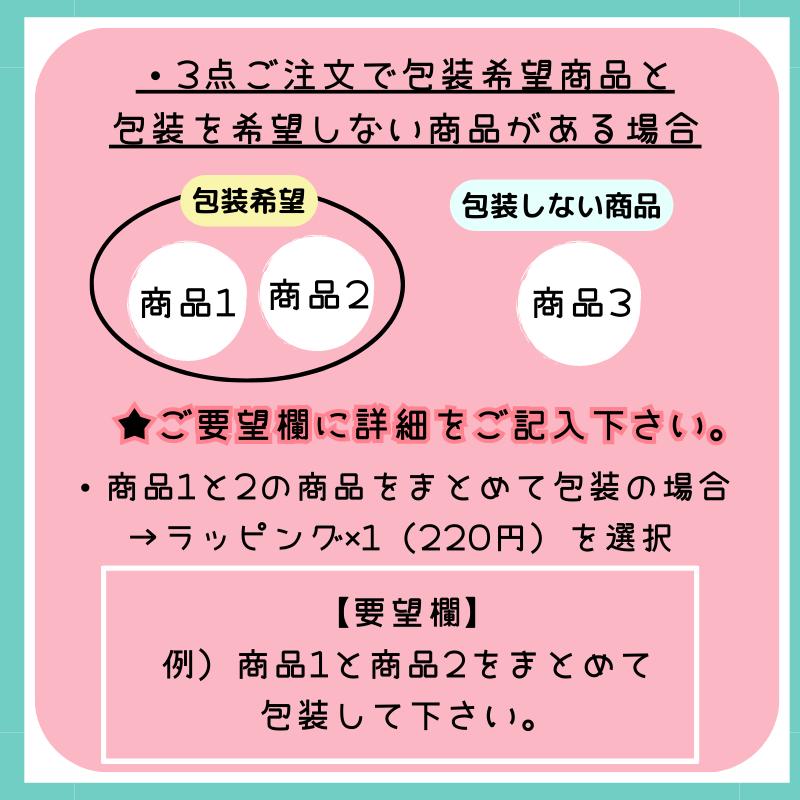 ギフトラッピング | ブランド登録なし | 04