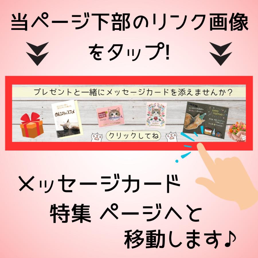 ギフトラッピング | ブランド登録なし | 08