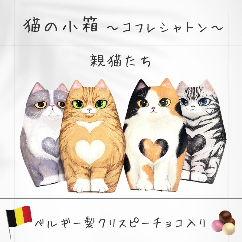 コフレシャトン クリスピーチョコ 親猫 猫箱 プチプレ ベルギー製