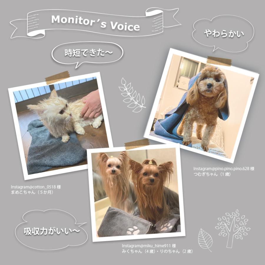 Taitto クイックドライ タオル 犬用 猫用 超吸収タオル ペット タオル シャンプータオル 吸収速乾タオル 体拭きタオル 犬用タオル 猫タオル Tt Qt 01 自動給餌器うちのこエレクトリック 通販 Yahoo ショッピング