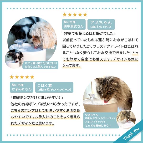 獣医師監修 自動給水器 猫 犬 ペット 給水器 水飲み器 フィルター 静音