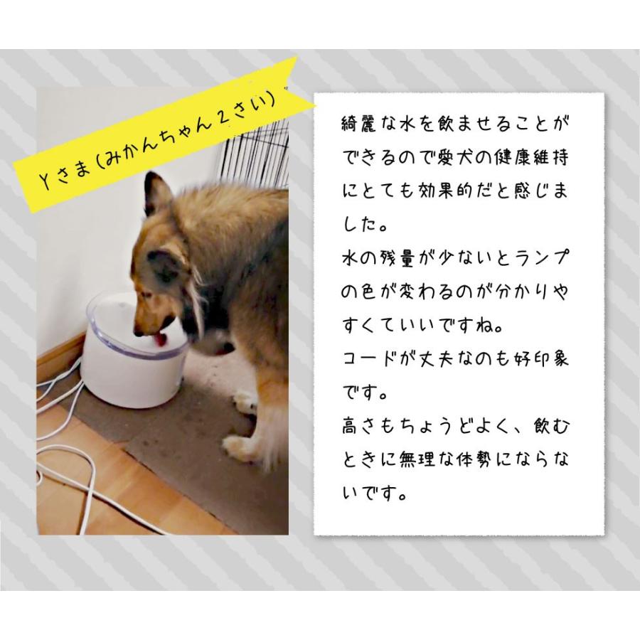 アクアメビウス 猫 犬 水飲み器 自動給水器 2l 超静音 日本メーカー安心1年保証サポート 活性炭フィルター付き｜catfamily｜15