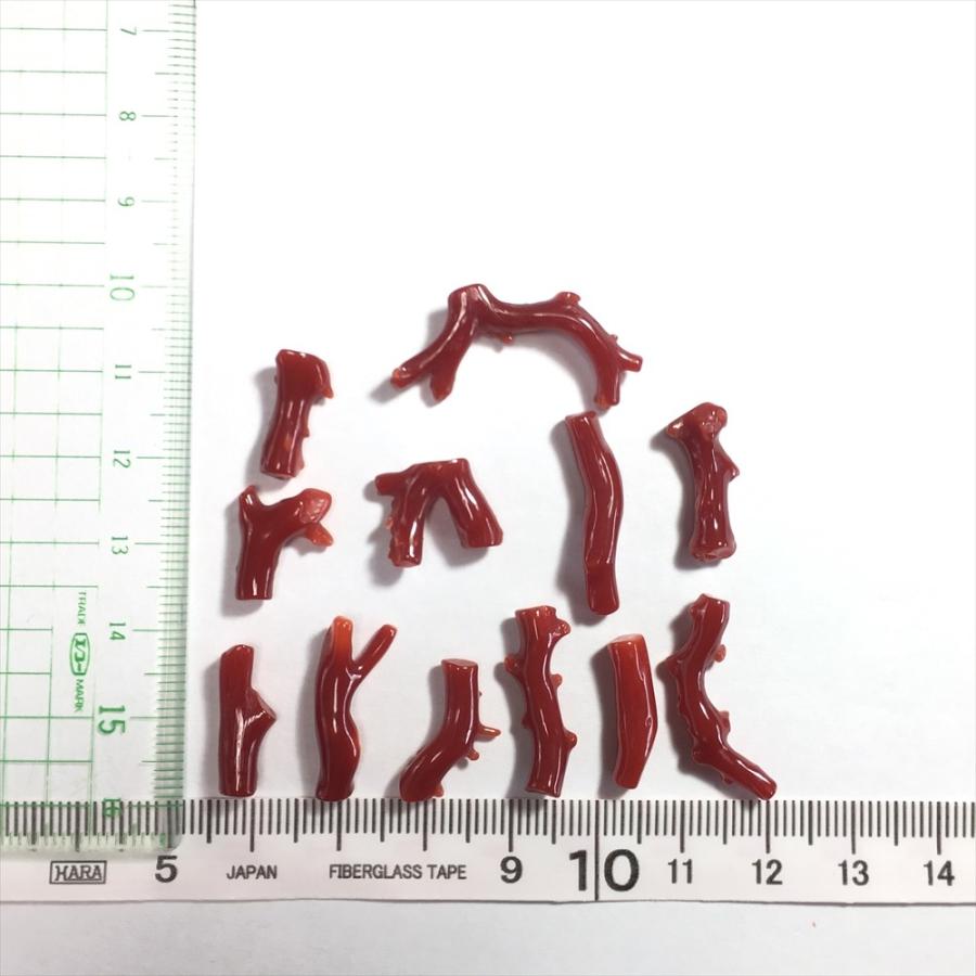 天然赤珊瑚 枝ルース 約10cm 高知県産　#ー02 珊瑚 裸石 ルース 血赤珊瑚 枝 高知県産 天然 : キャセイ